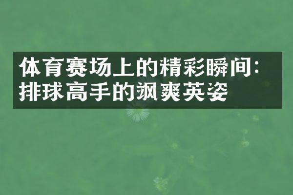 体育赛场上的精彩瞬间：排球高手的飒爽英姿