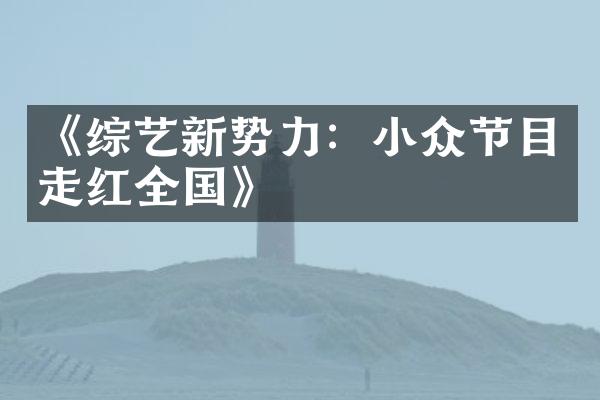 《综艺新势力：小众节目走红全国》