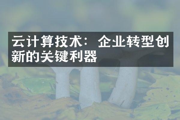 云计算技术：企业转型创新的关键利器