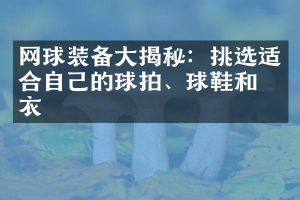 网球装备大揭秘：挑选适合自己的球拍、球鞋和球衣