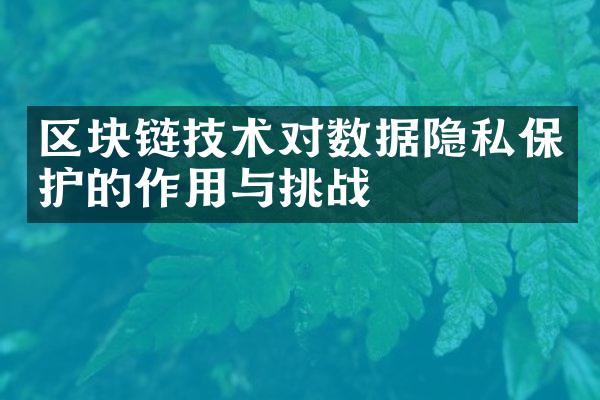 区块链技术对数据隐私保护的作用与挑战