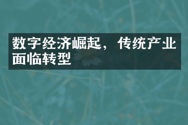 数字经济崛起，传统产业面临转型