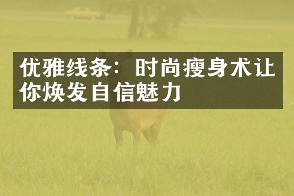 优雅线条：时尚瘦身术让你焕发自信魅力