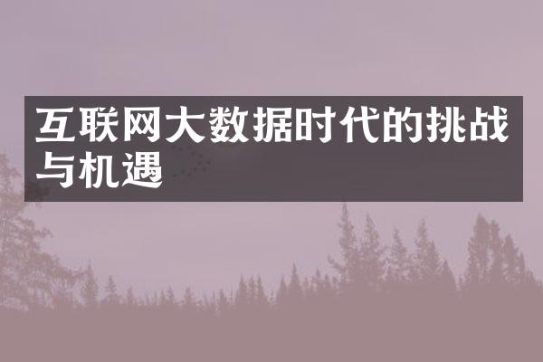 互联网大数据时代的挑战与机遇