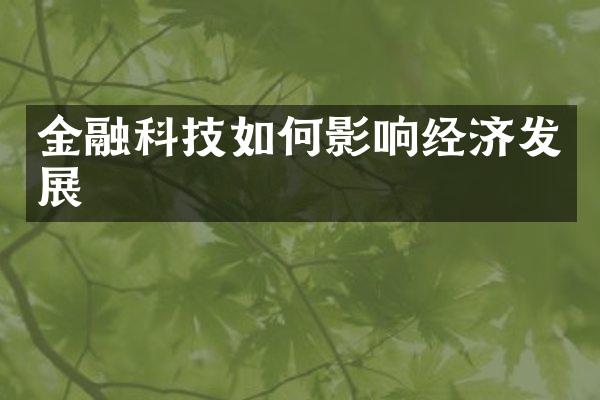 金融科技如何影响经济发展