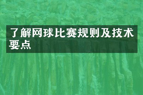 了解网球比赛规则及技术要点