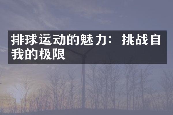 排球运动的魅力：挑战自我的极限