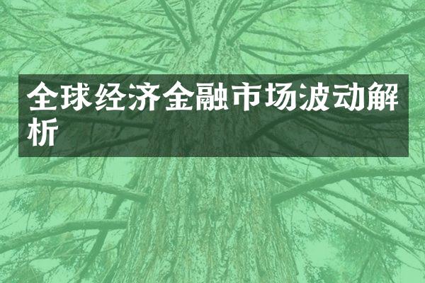 全球经济金融市场波动解析