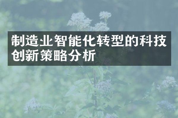 制造业智能化转型的科技创新策略分析