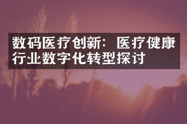 数码医疗创新：医疗健康行业数字化转型探讨