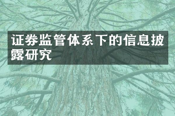 证券监管体系下的信息披露研究