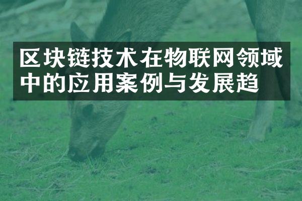 区块链技术在物联网领域中的应用案例与发展趋势