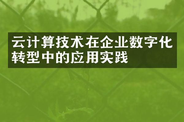 云计算技术在企业数字化转型中的应用实践