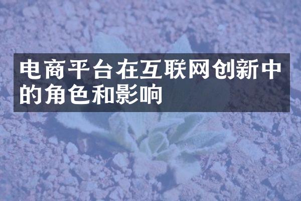 电商平台在互联网创新中的角色和影响