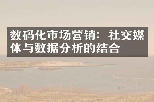 数码化市场营销：社交媒体与数据分析的结合