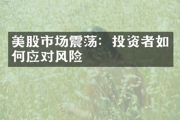 美股市场震荡：投资者如何应对风险