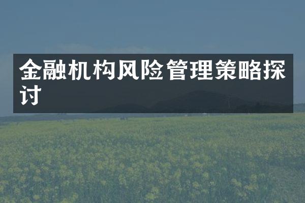 金融机构风险管理策略探讨