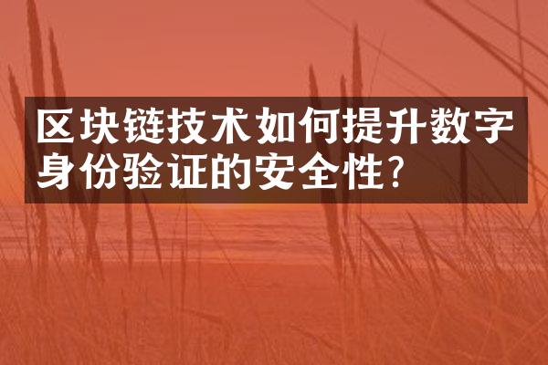 区块链技术如何提升数字身份验证的安全性？