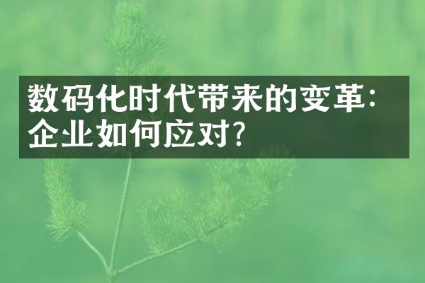 数码化时代带来的变革：企业如何应对？