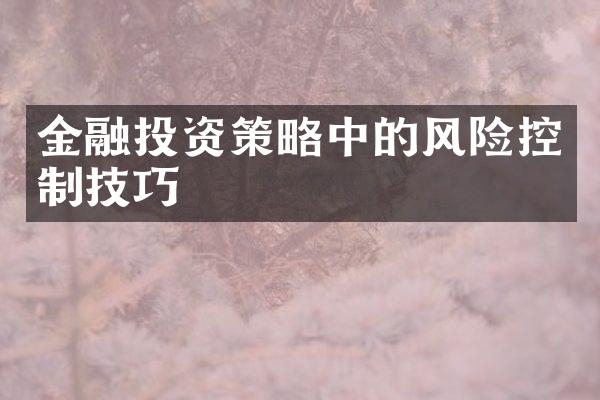 金融投资策略中的风险控制技巧