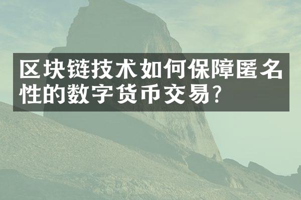 区块链技术如何保障匿名性的数字货币交易？