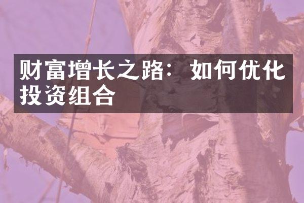 财富增长之路：如何优化投资组合