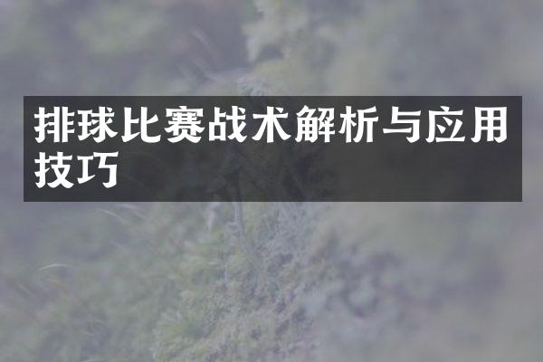 排球比赛战术解析与应用技巧