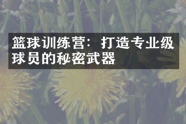 篮球训练营：打造专业级球员的秘密武器