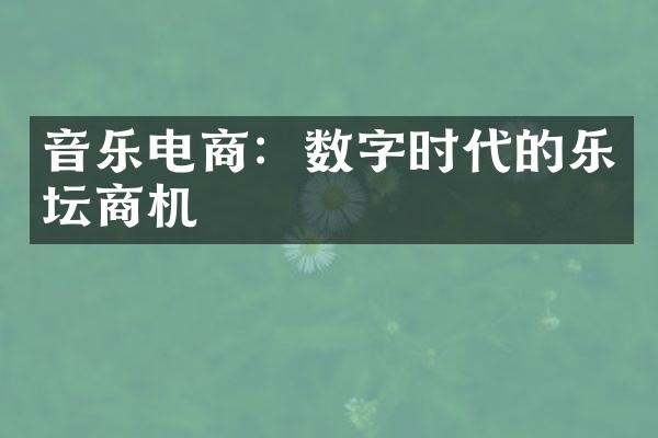 音乐电商：数字时代的乐坛商机