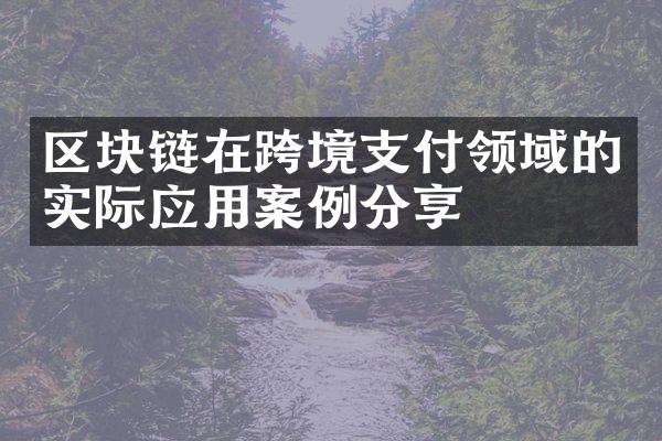 区块链在跨境支付领域的实际应用案例分享