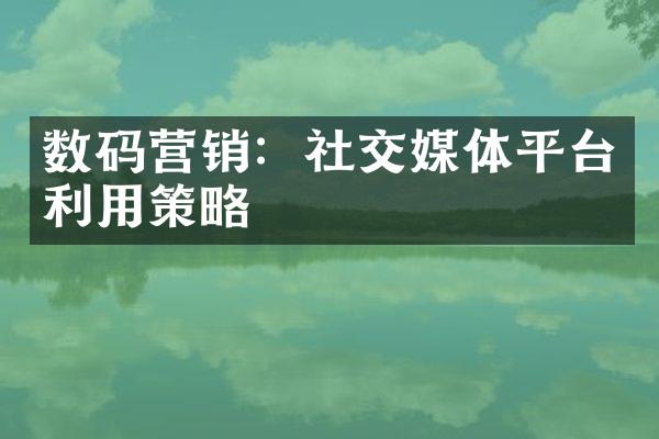 数码营销：社交媒体平台利用策略