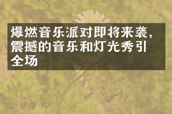 爆燃音乐派对即将来袭，震撼的音乐和灯光秀引爆全场