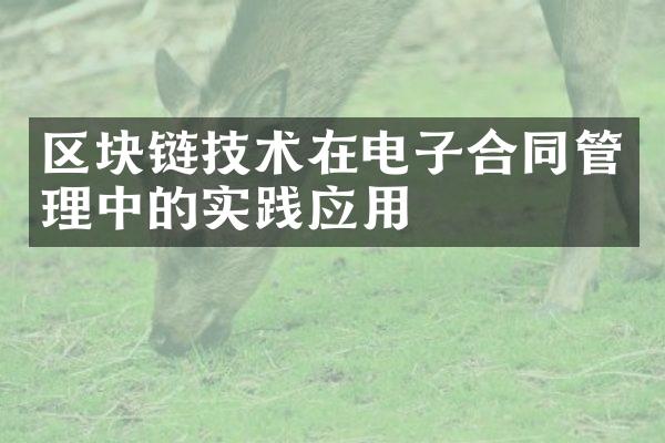 区块链技术在电子合同管理中的实践应用