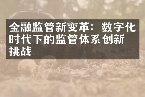 金融监管新变革：数字化时代下的监管体系创新与挑战