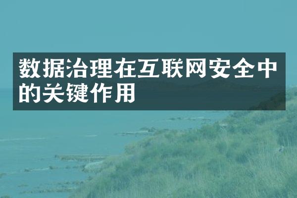 数据治理在互联网安全中的关键作用