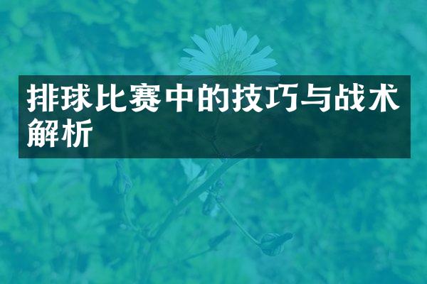 排球比赛中的技巧与战术解析