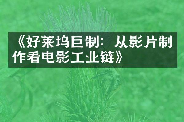 《好莱坞巨制：从影片制作看电影工业链》