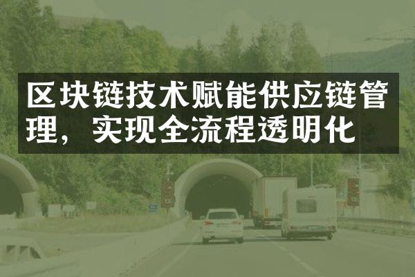 区块链技术赋能供应链管理，实现全流程透明化