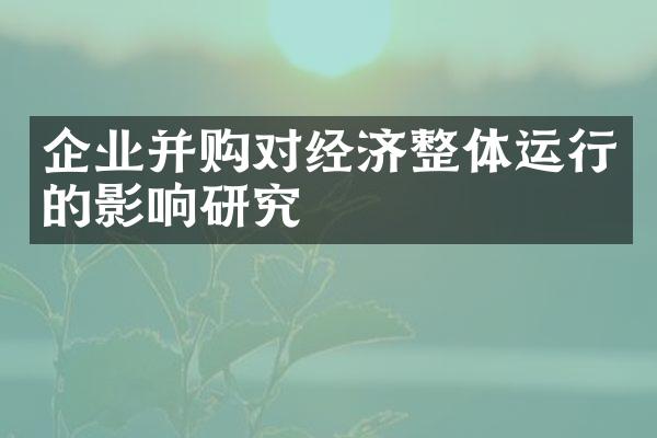 企业并购对经济整体运行的影响研究