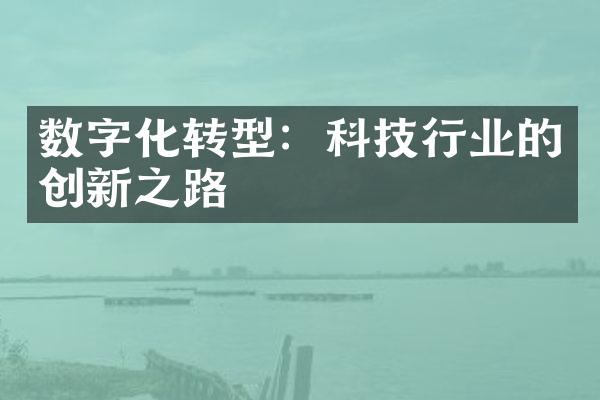 数字化转型：科技行业的创新之路