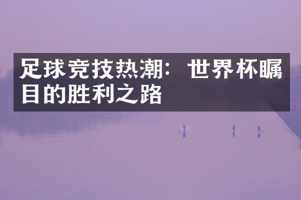 足球竞技热潮：世界杯瞩目的胜利之路