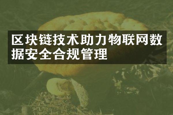 区块链技术助力物联网数据安全合规管理