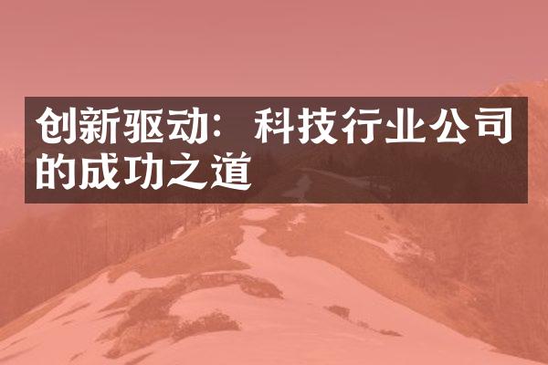 创新驱动：科技行业公司的成功之道