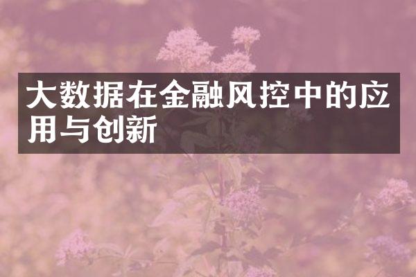 大数据在金融风控中的应用与创新