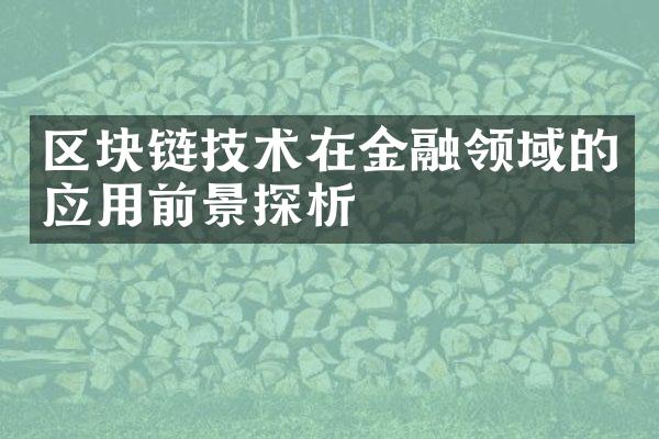 区块链技术在金融领域的应用前景探析