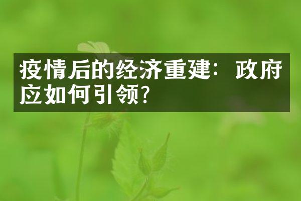 疫情后的经济重建：政府应如何引领？