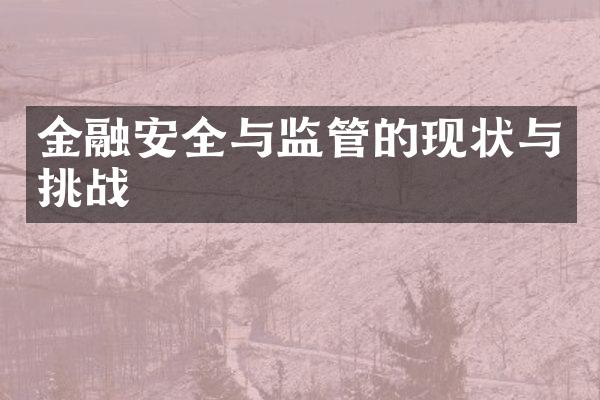 金融安全与监管的现状与挑战