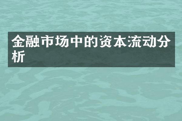 金融市场中的资本流动分析