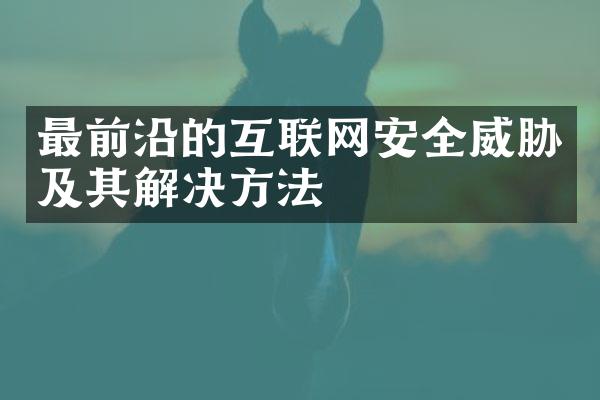 最前沿的互联网安全威胁及其解决方法