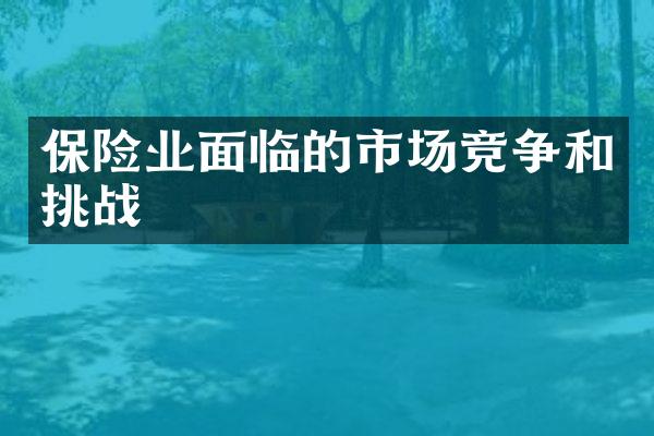 保险业面临的市场竞争和挑战